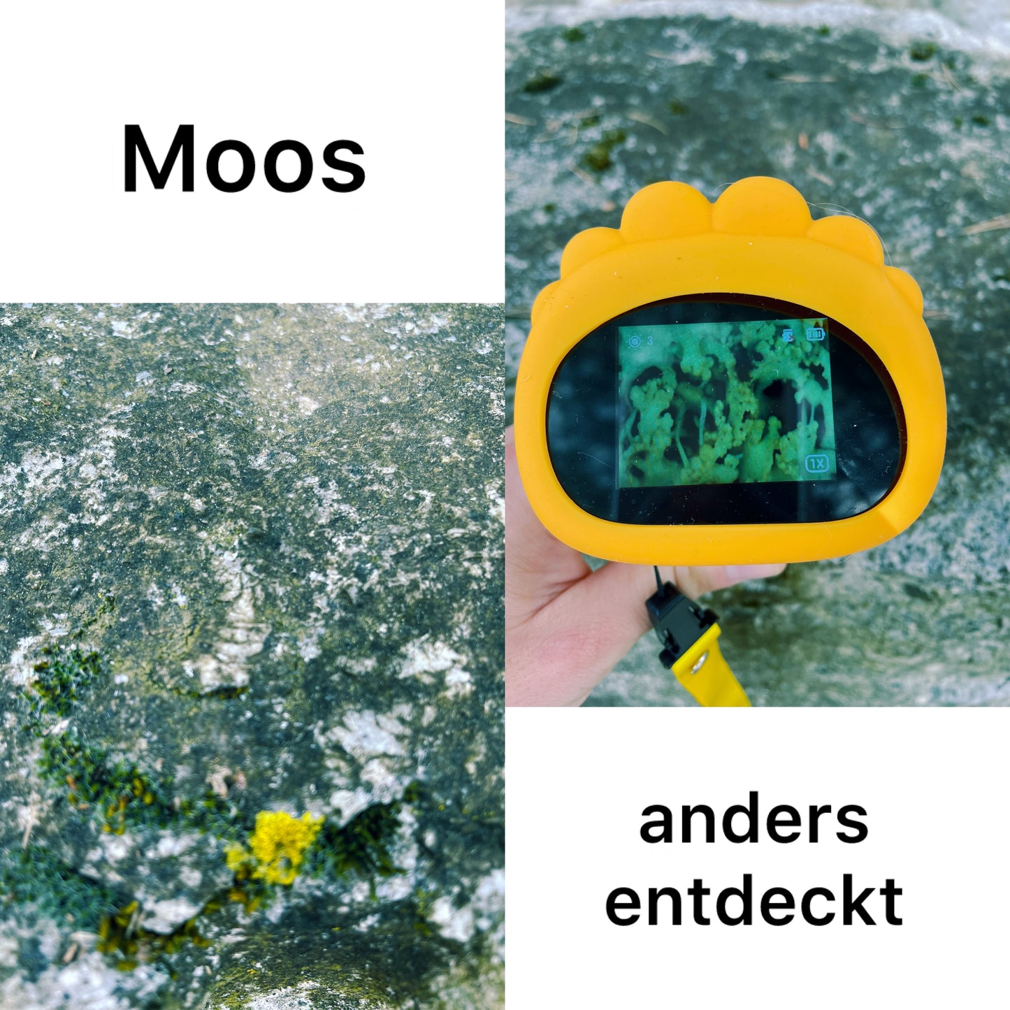 tragbares Kindermikroskop